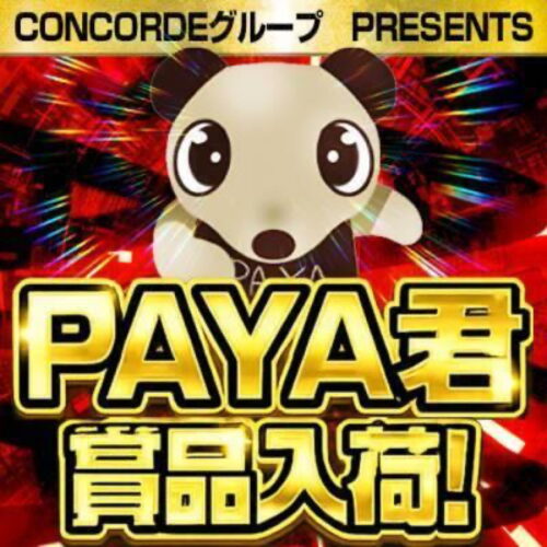 PAYA君賞品入荷