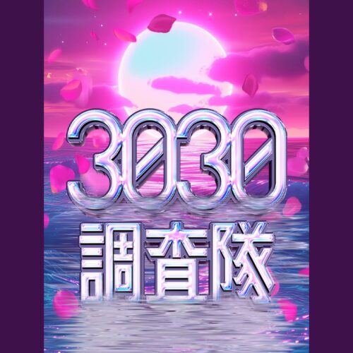 3030調査隊
